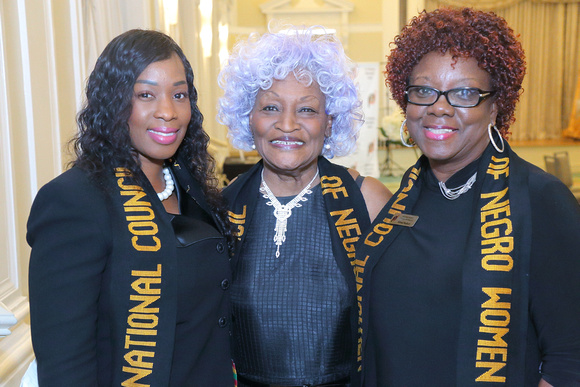 NCNW St. Petersburg Metropolitan Section Founders Day 2017 Candids by Pierce Brunson Photography (13)